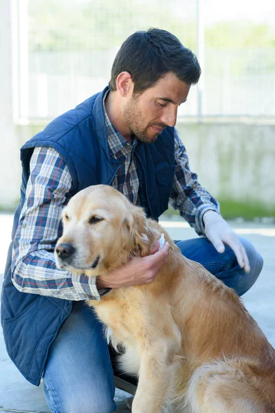 a veterinarian with a dog