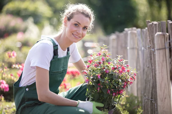 Young Woman Holding Potted Pink Flower Plant Garden — Foto de Stock