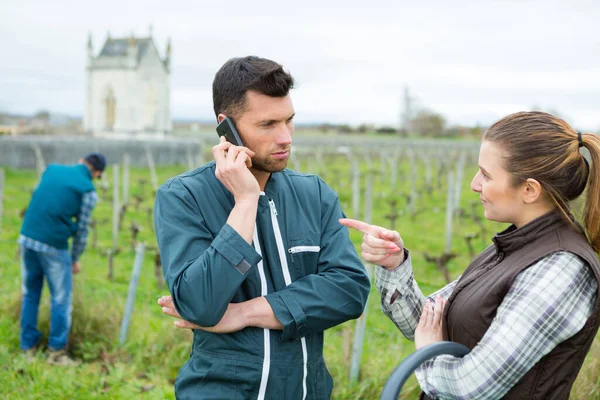 Workers Amongst Grape Vines Man Talking Telephone — Stock Photo, Image