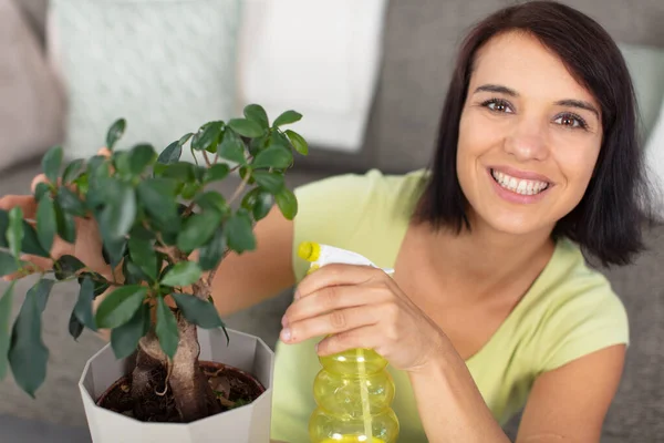 young businesswoman sprays plants in flowerpots