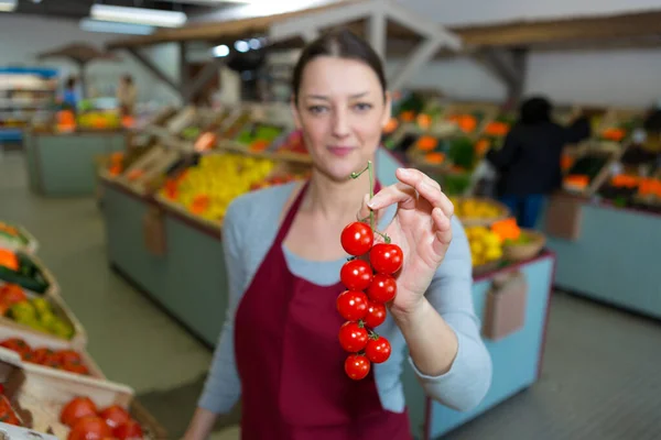 Retrato Mulher Que Vende Tomates — Fotografia de Stock