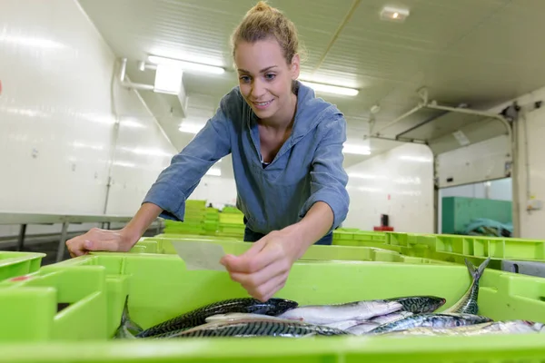 Kvinna Som Arbetar Fiskfabrik — Stockfoto
