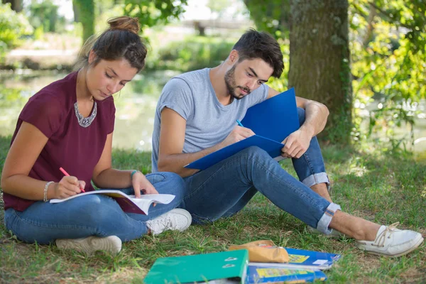 Üniversite Aşıkları Ödevlerini Parkta Yapıyorlar — Stok fotoğraf