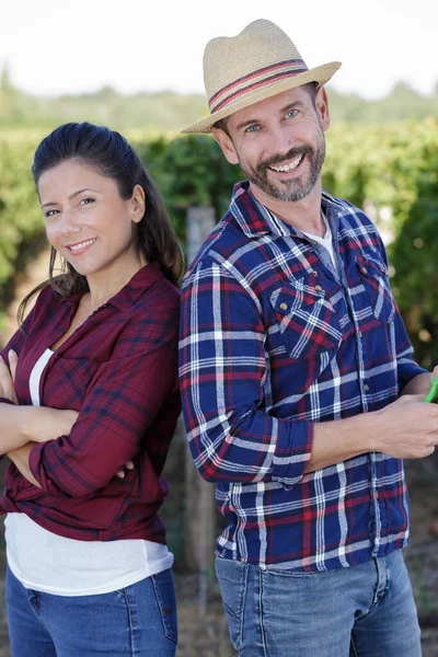 ワインを飲むブドウ畑の女性と男性 — ストック写真