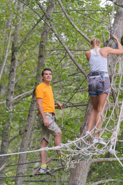 Adultos Escalando Ponte Corda Nas Árvores — Fotografia de Stock