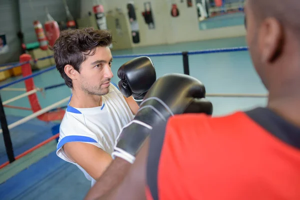 ボクシングのリングに二人の男 — ストック写真