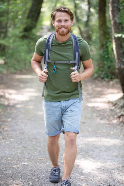 Caminhante Masculino Caminhando Floresta Livre Natureza — Fotografia de Stock