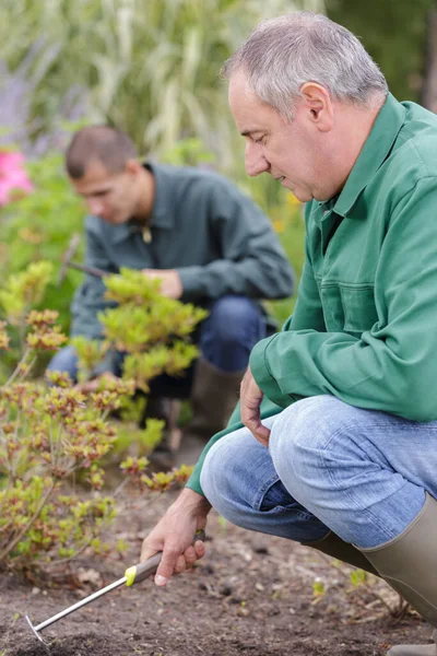 Dos Hombres Jardinero Paisajismo Juntos — Foto de Stock