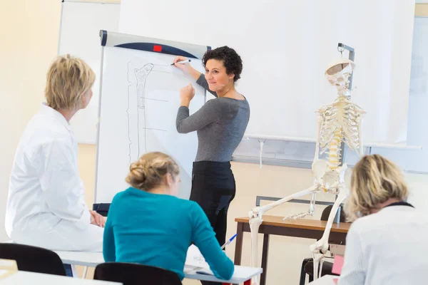 Studentin Identifiziert Knochen Auf Flipchart Skelett Neben Ihr — Stockfoto