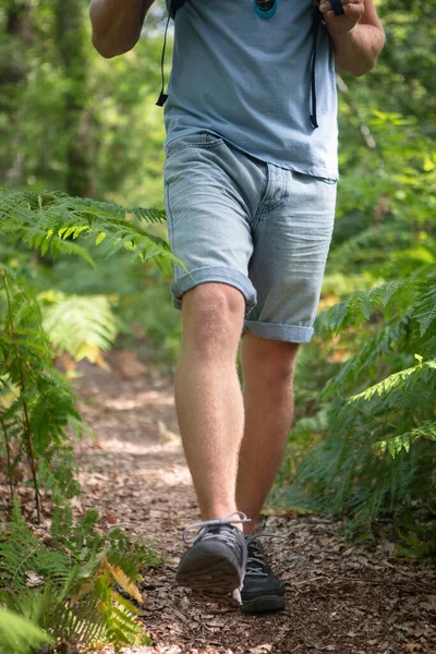 Caminhadas Masculinas Pela Floresta — Fotografia de Stock