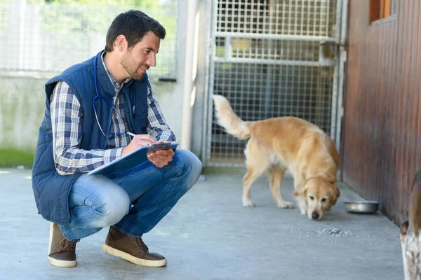 Weterynarz Schowkiem Patrząc Psa — Zdjęcie stockowe