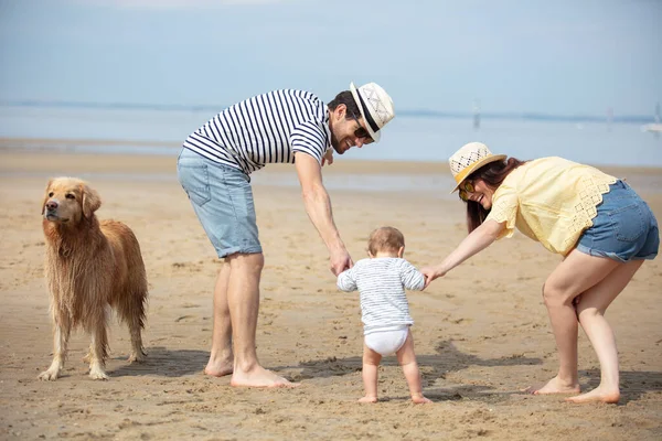 親は赤ちゃんに犬と一緒にビーチを歩くように教えています — ストック写真