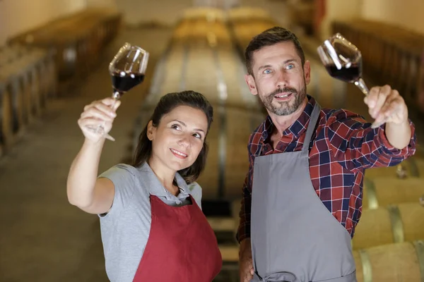 Couple Lifting Wine Glasses Cellar — Stock Photo, Image