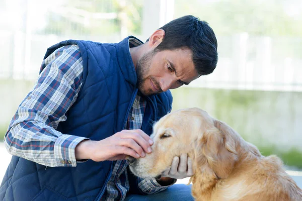 Retrato Veterinário Masculino Com Cão — Fotografia de Stock