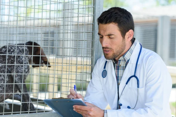 Κτηνίατρος Από Σκυλιά Κλουβί Γραπτώς Στο Πρόχειρο — Φωτογραφία Αρχείου