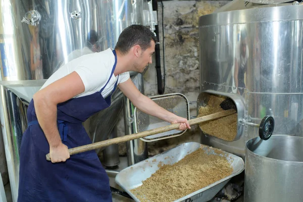 Bryggeriarbetare Som Lastar Från Skottkärra Till Fat — Stockfoto