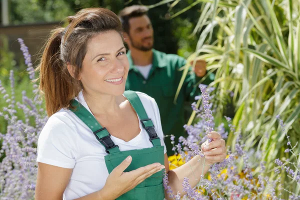 Vrouwelijke Tuinier Uniform Werken Met Planten — Stockfoto