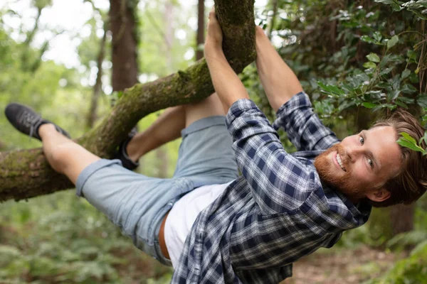 木を抱き締める男 — ストック写真