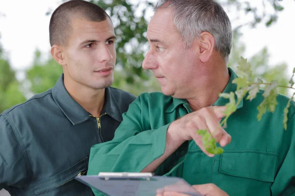 Två Trädgårdsmästare Pratar Växter — Stockfoto