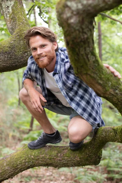 Homem Engraçado Agarrando Uma Árvore — Fotografia de Stock