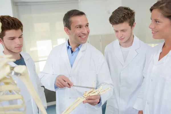 Arzt Bringt Studenten Mit Skelett Handknochen Bei — Stockfoto