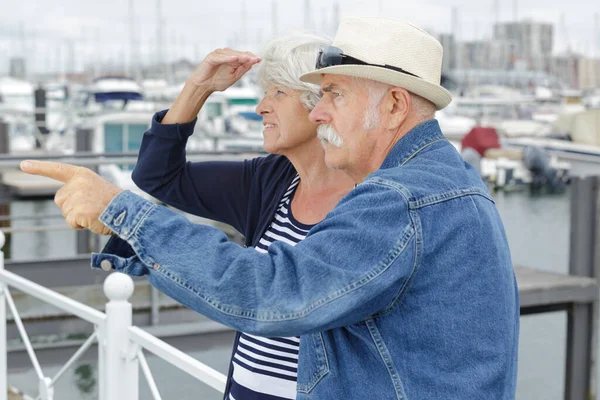 Senior Par Promenader Nära Havet — Stockfoto