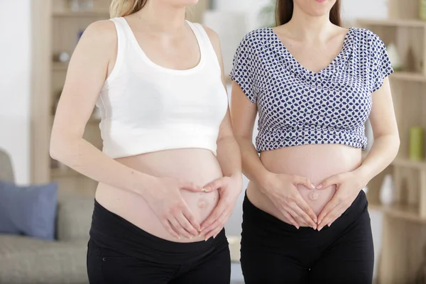 Δύο Γυναίκες Που Κάνουν Σχήμα Καρδιάς Στις Έγκυες Κοιλιές Τους — Φωτογραφία Αρχείου