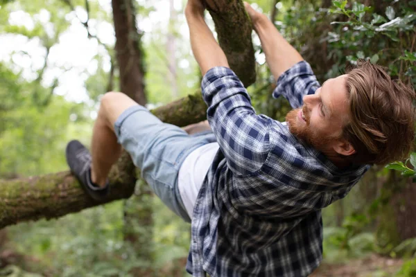 Glücklicher Mann Der Auf Einen Baum Steigt — Stockfoto