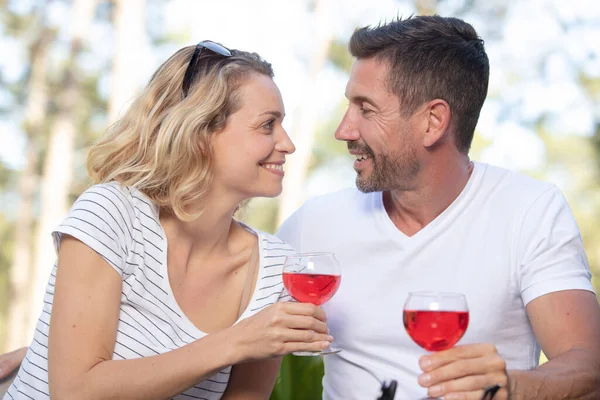 Cute Couple Drinking Red Wine Picnic Park — Stock Fotó