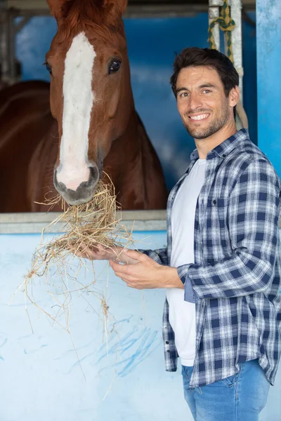 安定した状態で干し草で馬を養う作業服の男 — ストック写真