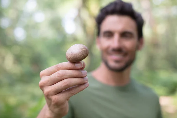 Junger Mann Sammelt Pilze Wald — Stockfoto
