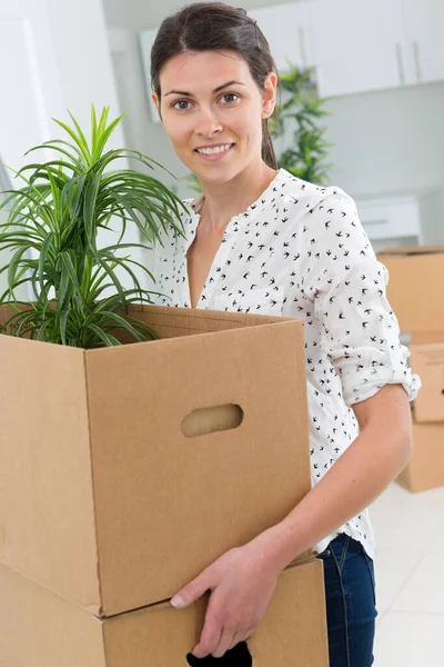 植物を含む箱を持った女性は — ストック写真