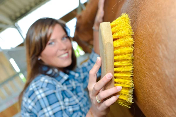 Šťastná Žena Pečující Koně — Stock fotografie