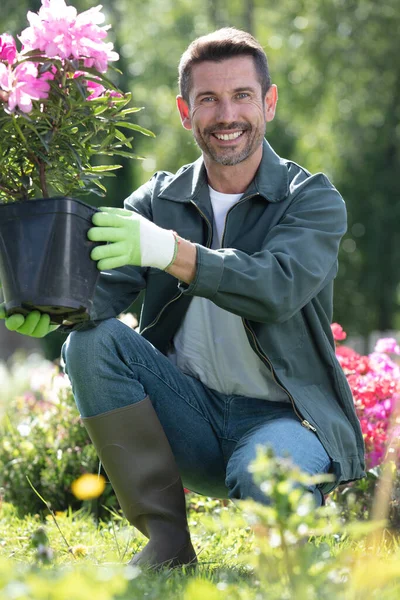 Hombre Sosteniendo Una Planta Maceta Jardín —  Fotos de Stock