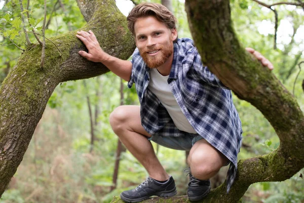 Бородатый Мужчина Сидит Дереве — стоковое фото