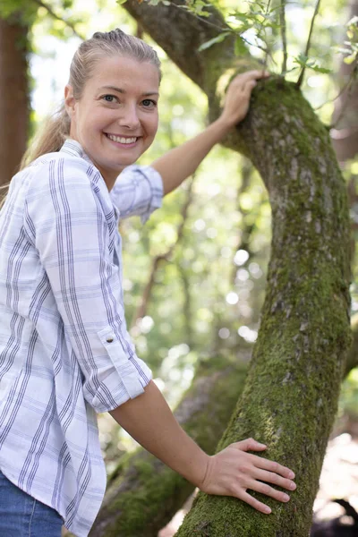 Самка Отдыхает Против Похода Дерево — стоковое фото