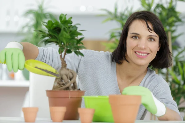 Kvinna Hand Växter — Stockfoto