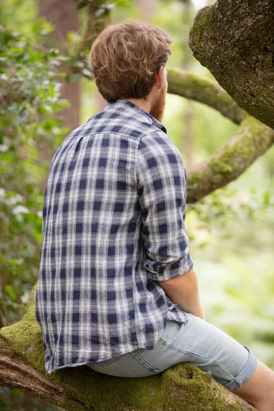 Atrakcyjny Dopasowanie Młody Człowiek Relaks Siedzi Drzewie — Zdjęcie stockowe
