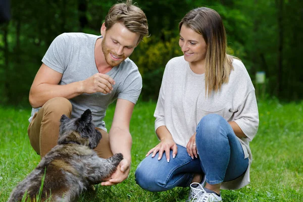 若いカップルが屋外で犬を飼い — ストック写真