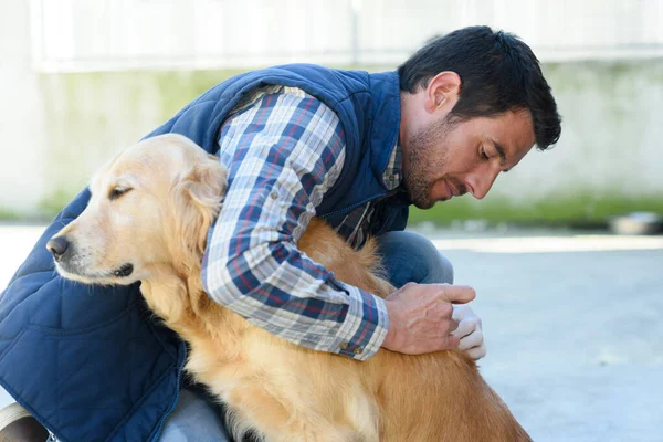 Veterinário Masculino Com Cão — Fotografia de Stock