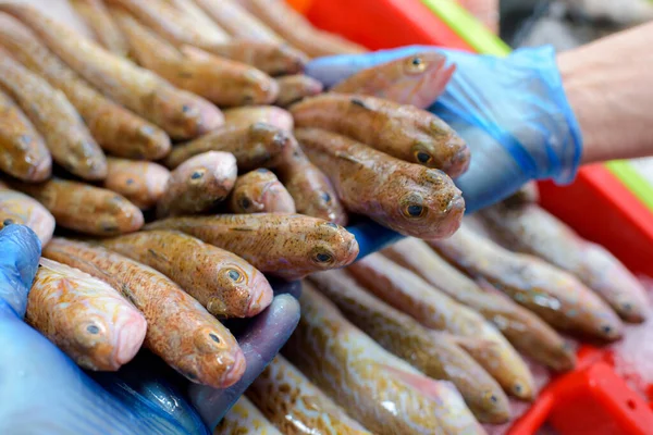 Perto Homem Que Detém Peixes Mercado — Fotografia de Stock