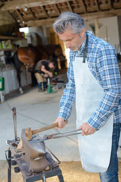 Horse Farrier Working Early Morning — Stock Photo, Image