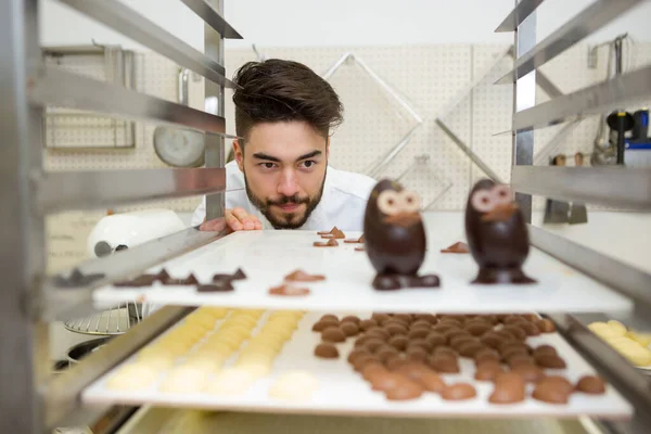Chef Professionnel Regardant Des Plateaux Chocolats Nouveauté — Photo