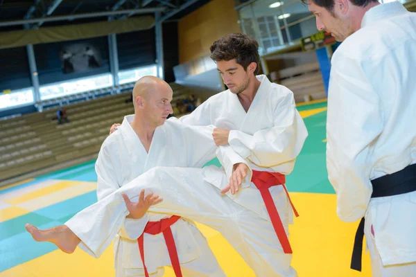 Portret Mężczyzn Ćwiczących Judo — Zdjęcie stockowe