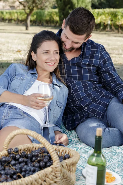 Paar Beim Romantischen Picknick Weinberg Mit Trauben Und Wein — Stockfoto