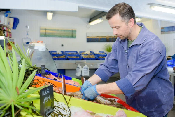 Fishmonger Organizzare Pesce Sulla Sua Stalla — Foto Stock