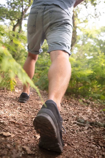 Hiking Shoes Action Mountain Trail Path — Stock Photo, Image
