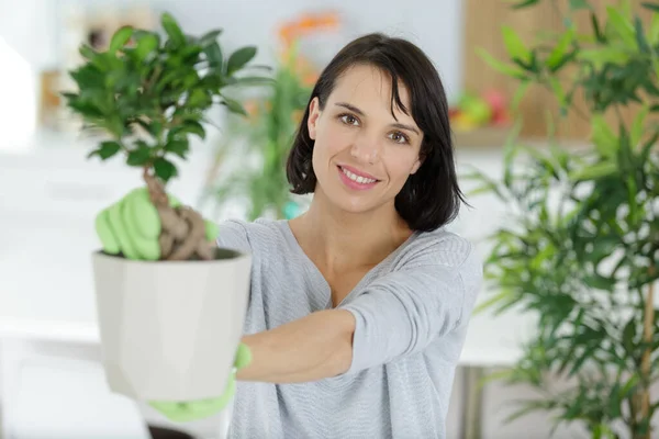 Aantrekkelijke Jonge Vrouw Het Houden Van Een Pot Plant — Stockfoto
