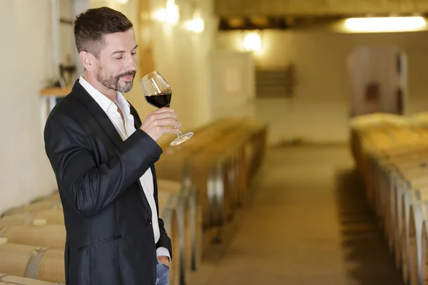 Stilig Man Sommelier Provsmakning Rött Vin Källaren — Stockfoto