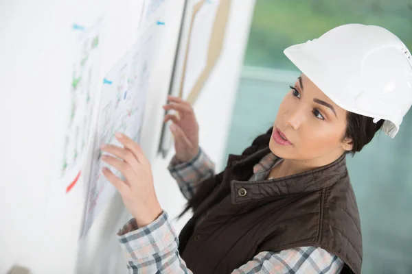 stock image working woman wearing hardhat looking at notice board